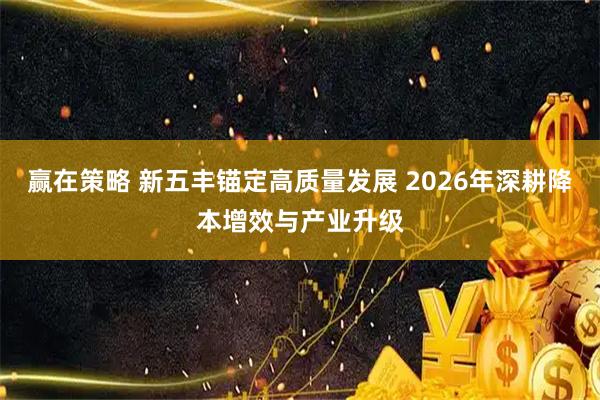 赢在策略 新五丰锚定高质量发展 2026年深耕降本增效与产业升级