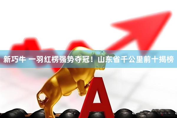新巧牛 一羽红楞强势夺冠！山东省千公里前十揭榜